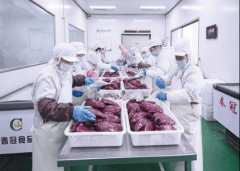 设计灵感来源于汉画像石上的马的形象